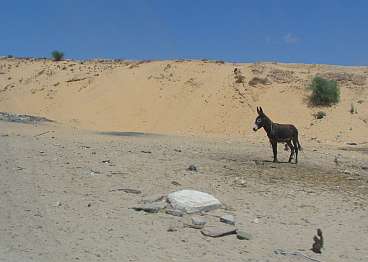 Beit Hanoun 3